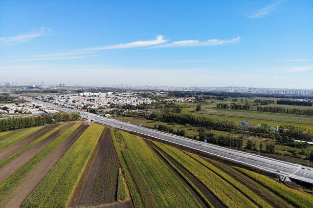 公路02 長(zhǎng)依公路 01_副本.jpg